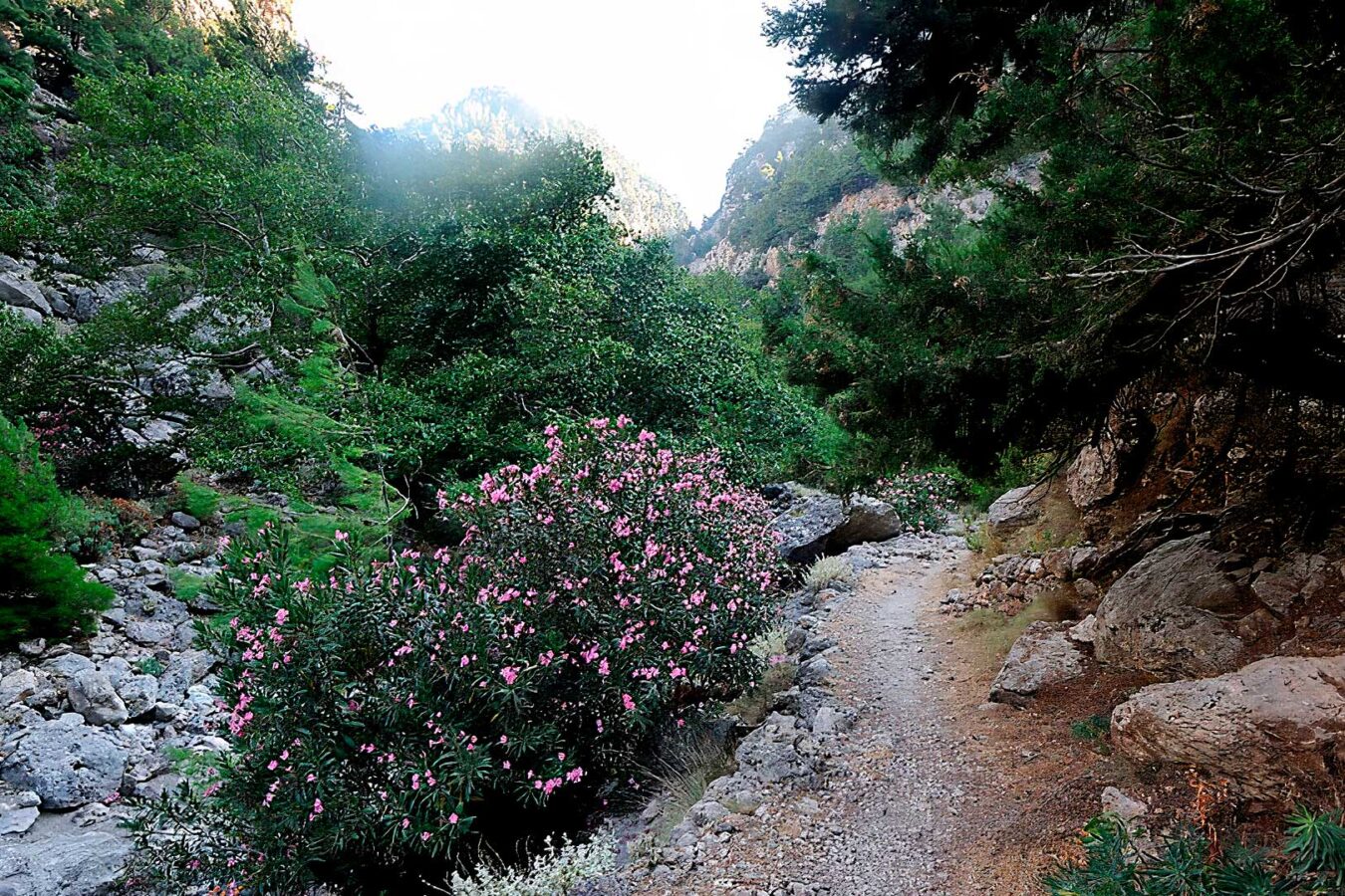 Agia_Irini_Gorge