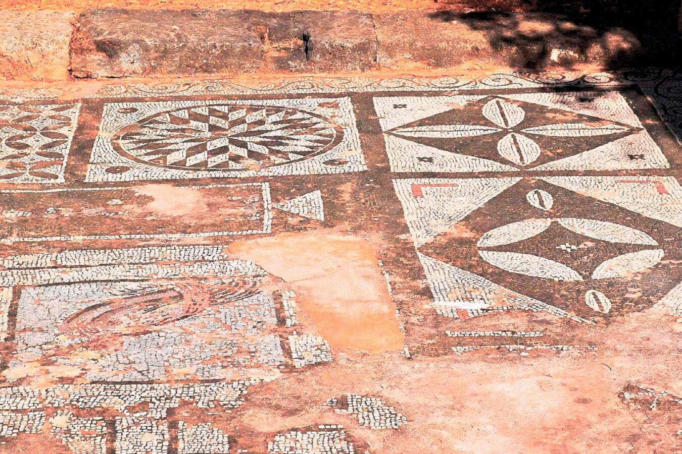 The mosaic in the Asclepieion of Lissos