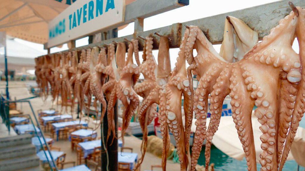 octopuses hanging in the sun in a tavern in Nea Chora Beach