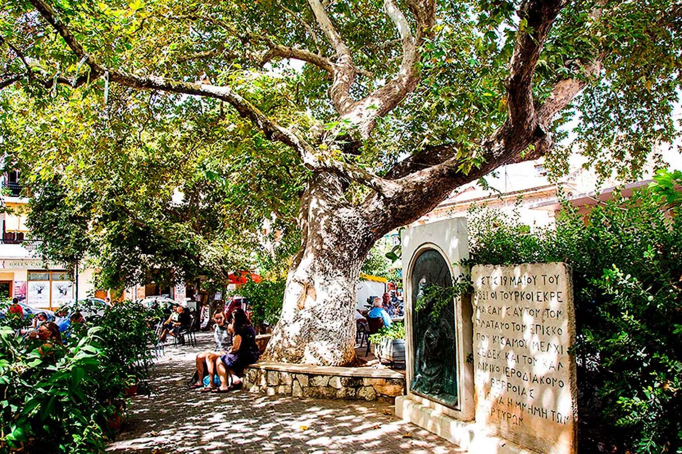 the Splantzia square with the plane tree